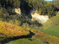 Clicca per Ingrandire